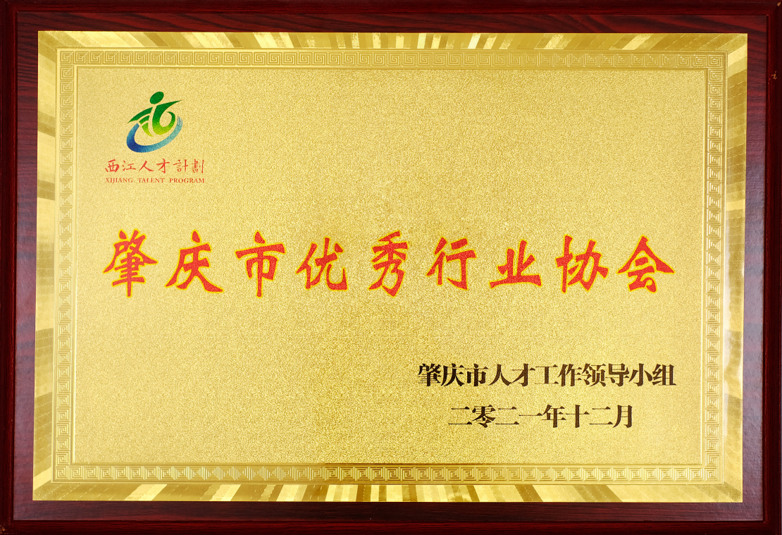 2021年肇慶市優(yōu)秀行業(yè)協(xié)會(huì)牌匾.png